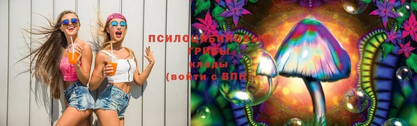 дмт Богданович