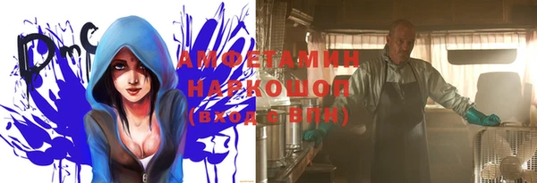 дмт Богданович
