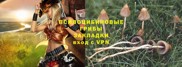 дмт Богданович