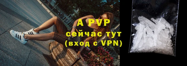 дмт Богданович